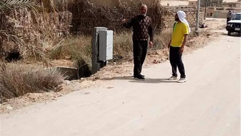 إنارة شارع الهندلية وعين كليوباترا بسيوة