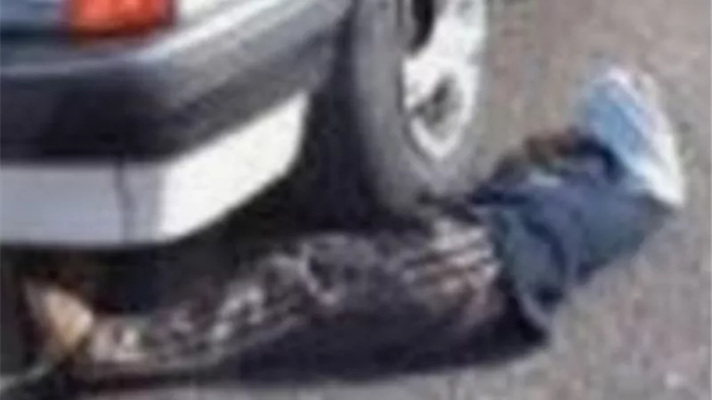 مصرع طفل دهسا اسفل عجلات جرار زراعي بالدقهلية