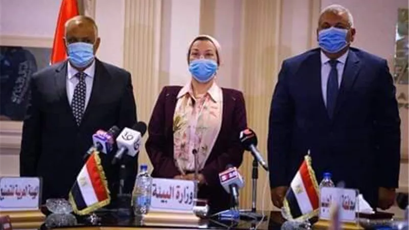ملايين الجنيهات لإنشاء أول مصنع أخشاب من مخلفات النخيل بالواحات