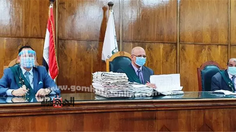 بالفيديو حكم نهائى بإلزام التأمين الصحى بعلاج طبيب ومواطن مجاناً