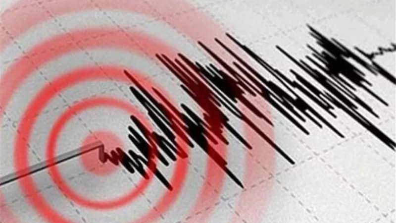 هزة أرضية بقوة 5.9 درجة تضرب المحيط الهادئ