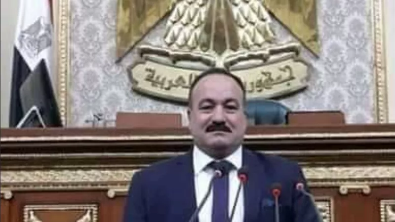 طلب إحاطة للنائب ايمن شكرى لتسجيل شهداء ليبيا بمجلس رعاية الشهداء