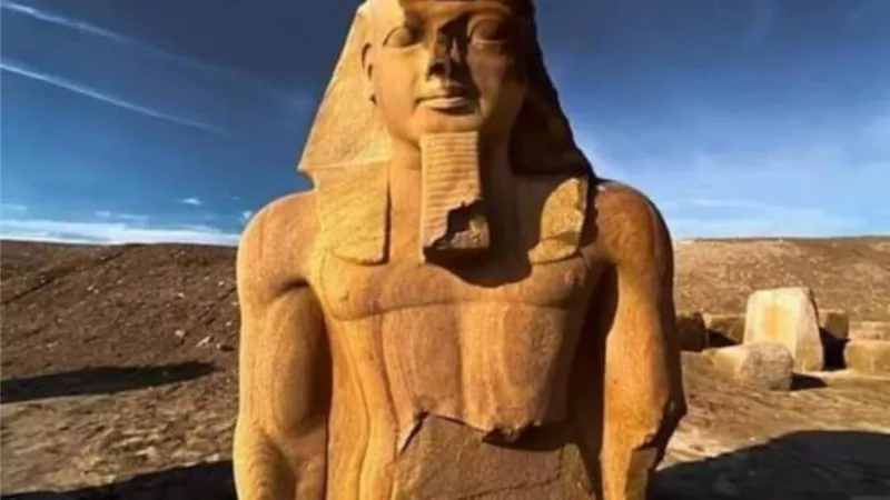القيادات الشعبية تحيى العيد القومى لمدينة صان الحجر والترويج لاثارها..السبت