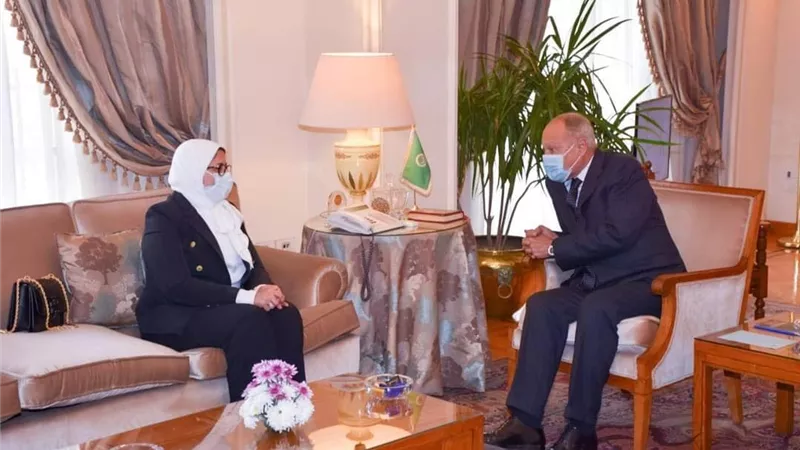 وزيرة الصحة تبحث سبل استمرار تقديم الدعم الطبي للدول العربية