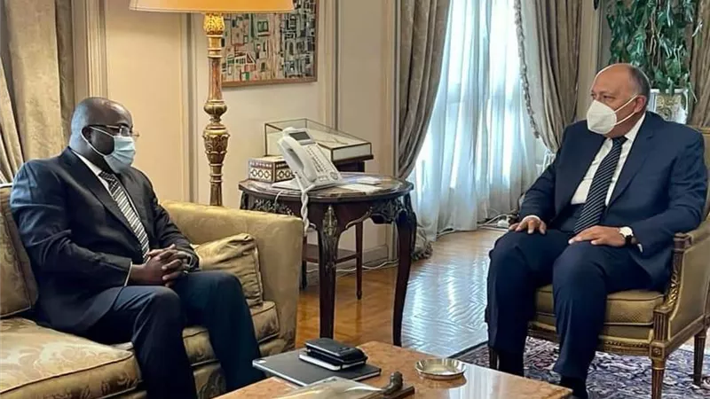 الوزير سامح شكري ونظيره الغيني يعقدان جلسة مُباحثات لدفع التعاون الثنائي ومناقشة القضايا القارية ذات الاهتمام المُشترك