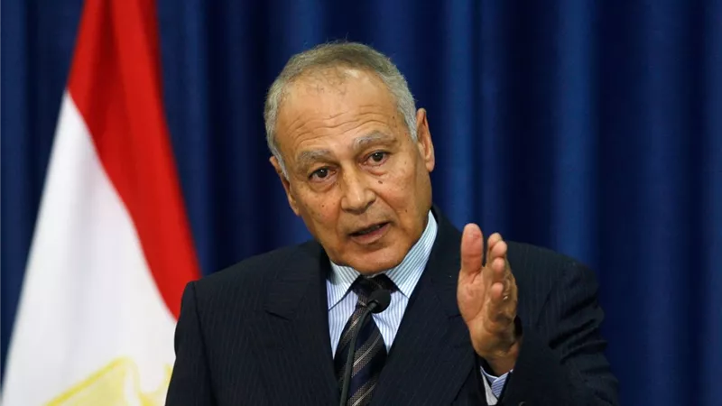 ابو الغيط: تجميد الوضع الميداني السوري لا يُمثل حلاً