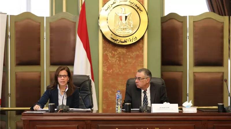 العليا الدائمة لحقوق الإنسان تثمن الاستجابة السريعة من مجلس الدولة في الاستعانة بالقاضيات