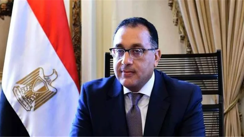 رئيس الوزراء يقرر عودة المعارض والمهرجانات والأنشطة الثقافة والفنية بالأماكن المفتوحة