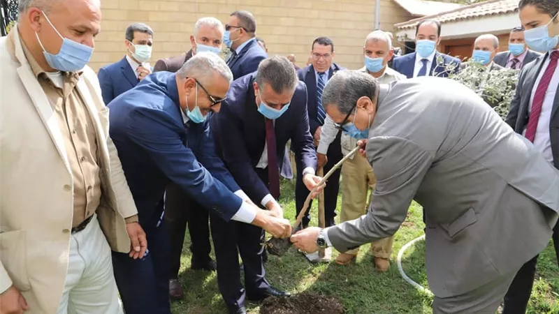 1500 شجرة زيتون بديوان محافظة المنوفية ضمن مبادرة هنجملها
