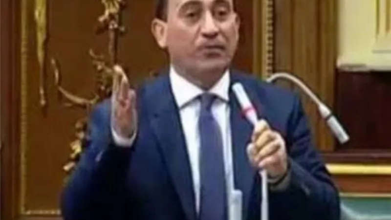 برلمانى يشيد بتوجيه الرئيس لزيادة الأجور والمعاشات.. وعلى الحكومة مراقبة الأسواق
