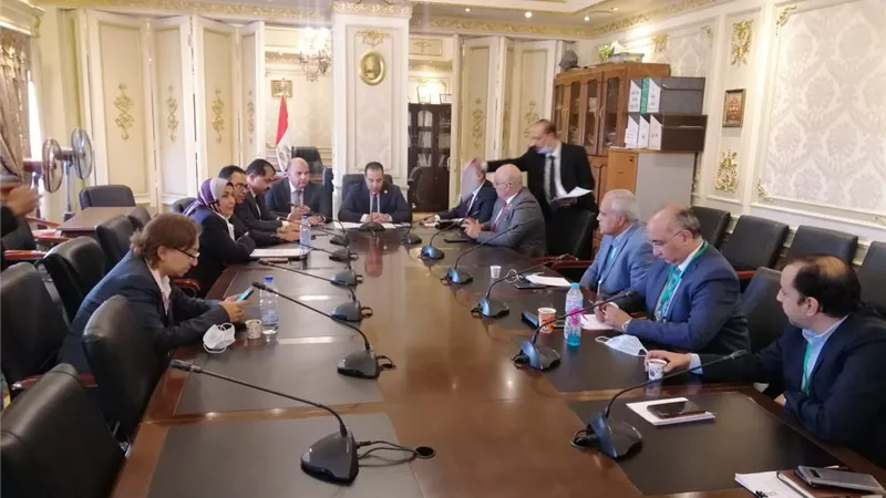 نائبة تطالب بحل مشكلات خطوط الهاتف الأرضي في مركز دمنهور بالبحيرة