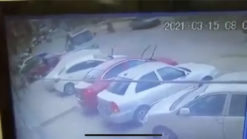 ضبط سيده تقود سيارتها عكس الاتجاه بعد اصطدامها بشخص