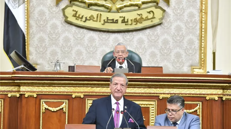 البرلمان يوافق على اتفاقية خط الائتمان الإيطالي مع جهاز تنمية المشروعات