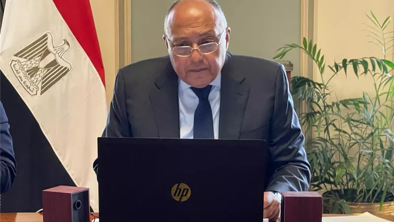 وزير الخارجية يؤكد تطلع مصر للاستمرار في تعزيز التعاون مع السويد