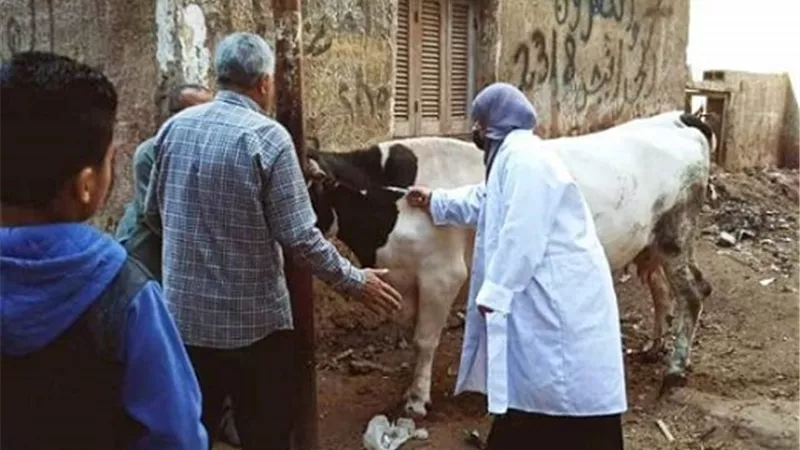 الحملة القومية للتحصين
