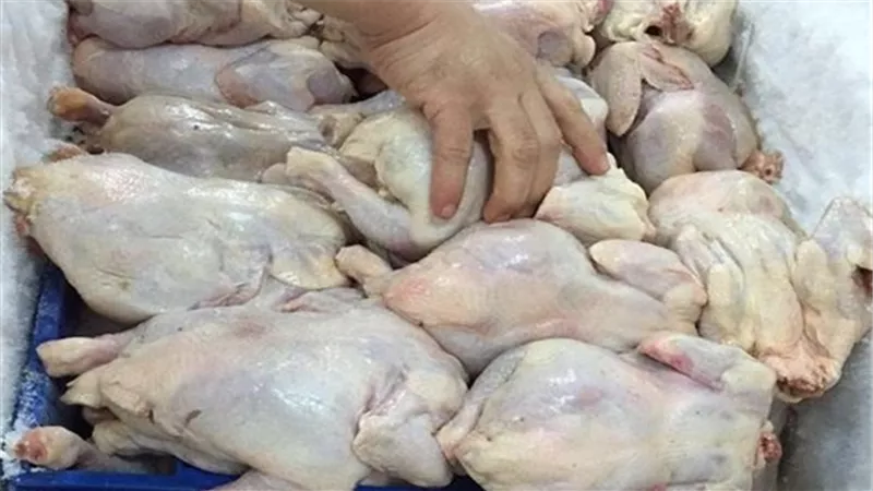 ضبط صاحب ثلاجة لتخزينة كميات من الدواجن الغير صالحة للإستهلاك الآدمي بطوخ