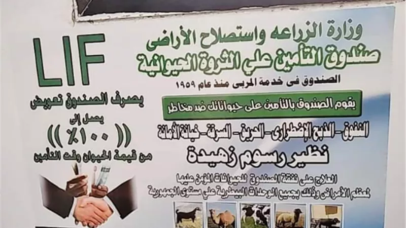 الزراعة: صندوق التأمين على الماشية يشارك في القافلة البيطرية بجنوب سيناء