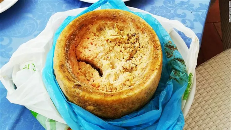 أخطر أنواع الجبن في العالم يحتوي على بيض الذباب.. صورة