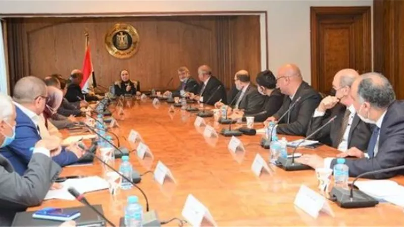 وزيرة التجارة: الحكومة حريصة على النهوض بقطاع الأخشاب للوفاء باحتياجات الصناعة الوطنية
