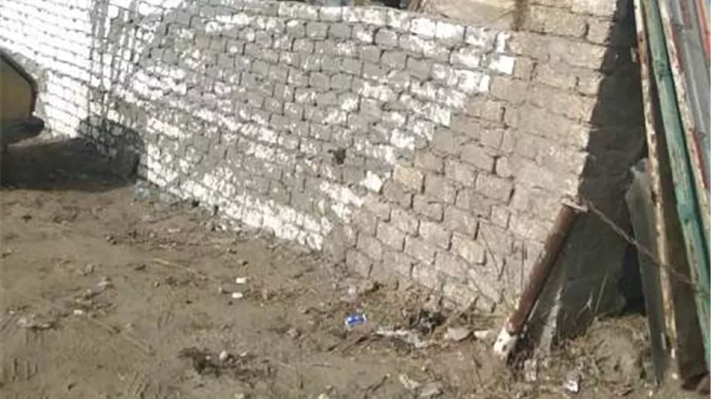حملات مكبرة لاعادة الانضباط لشوارع مدينتي الزقازيق وبلبيس