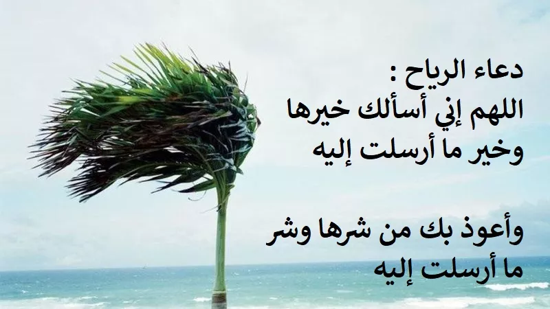 عند هبوب الريح كان الرسول يجثو على ركبتيه !! .. تعرف على الاسباب