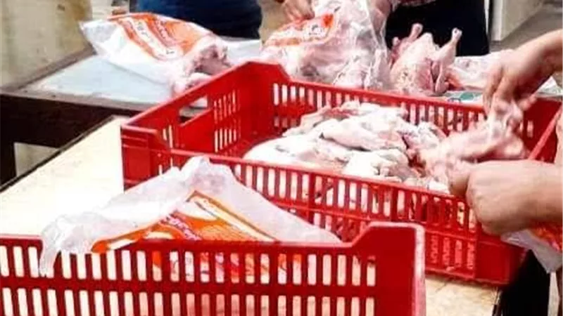 بيطري الشرقية يضبط طنين من اللحوم والطيور والاسماك المخالفة ويحرر 49 محضراً