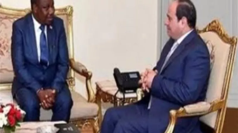 رئيس بوروندي يدعو المستثمرين المصريين للاستفادة من الفرص المتاحة فى بلاده