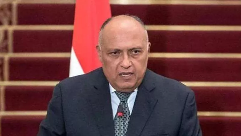 وزير الخارجية: مصر تدرك جيدا كيفية التعامل مع كل السيناريوهات المحتملة لأزمة سد النهضة
