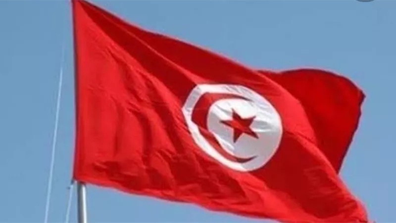 الرئيس التونسي يعلن استعداده للإشراف على حوار وطني اقتصادي للخروج من الأزمة الحالية