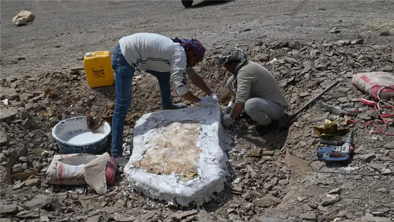 كشف فريد ل٣ حفريات عملاقة عمرها ٧٠ مليون سنة فى صحراء القارة المفقودة