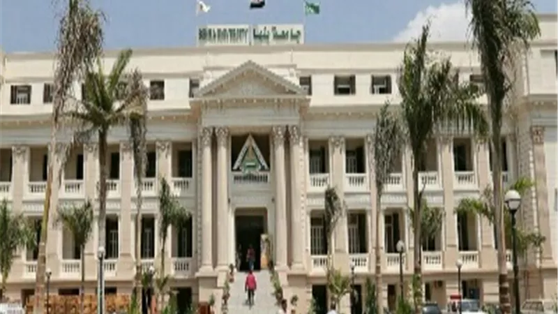 جامعة بنها تنظم ورشة عمل عن استراتيجيات التوعية بالهوية لتعزيز السمعة الأكاديمية للمؤسسات