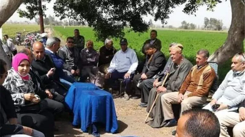 زراعة الشرقية تنفذ مدرسة حقلية إرشادية عن محصول القمح في قرية كراديس