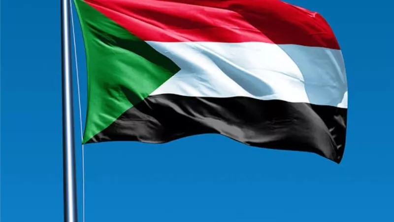 مصرع 5 مسؤولين سودانيين إثر غرق عبارة بمدينة وادي حلفا