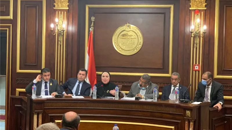 نيفين جامع: تعلن موعد الانتهاء من صياغة اللائحة التنفيذية لقانون تنظيم عمل هيئة التنمية الصناعية