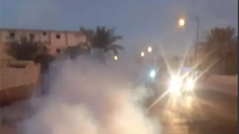 الرش الضبابي للوقاية من الامراض بسيوة