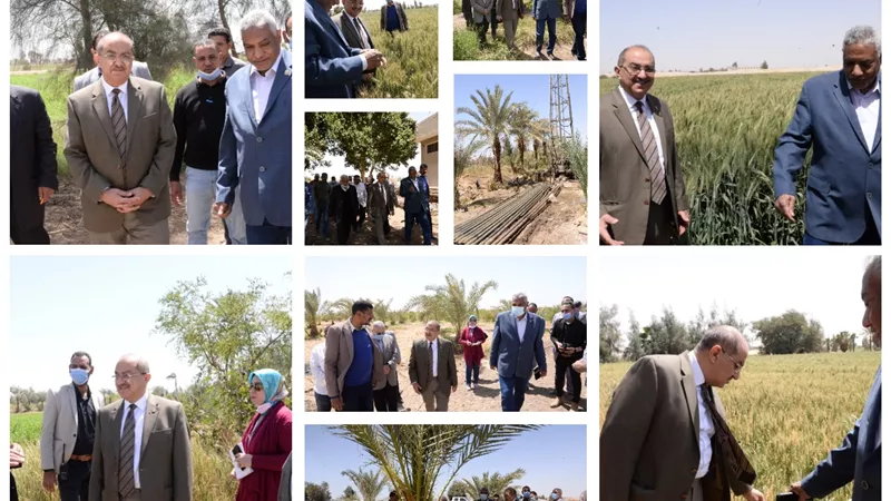 رئيس جامعة أسيوط يتفقد القمح المزروع بنحو 32 فدان بمزرعة الارشادية