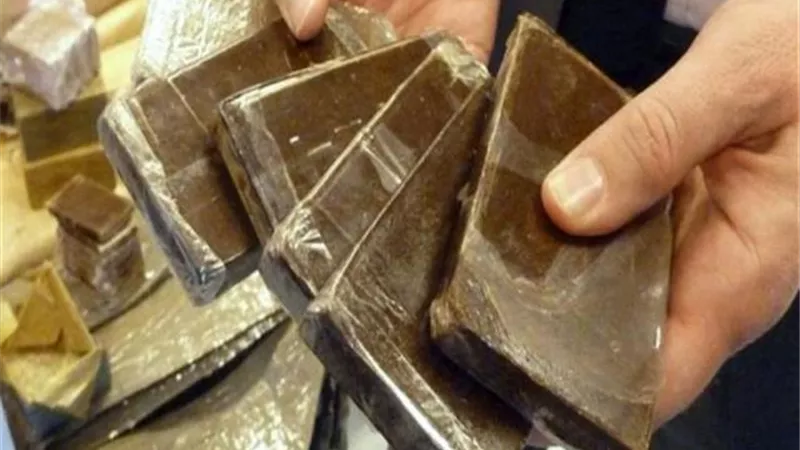 ضبط موظف بشركة المياة لاتجاره فى المواد المخدرة بالدقهلية
