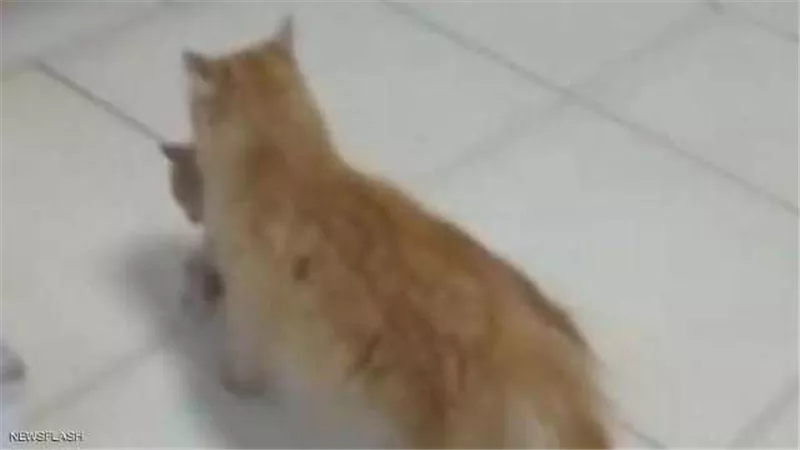 بـ
