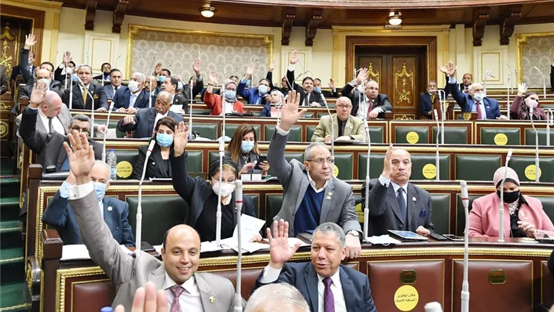 البرلمان يفوض هيئة المكتب بتحديد موعد استجواب هيكل .. والحكومة جاهزون