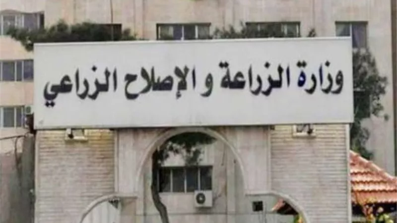 الزراعة .. نشرة بالتوصيات الفنية لمزارعي محصول القمح خلال شهر ابريل