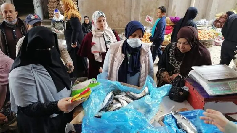 ضبط ٢٥٠ كيلو رنجة غير صالحة.. فى حملة تموينية بالدقهلية