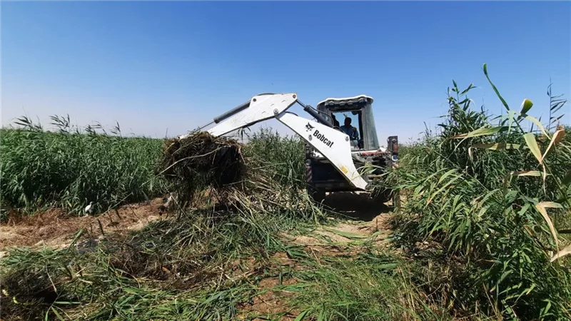 بدء تطهير منطقة ترعة الصرف الصحى بقرية الجبلاو فى قنا