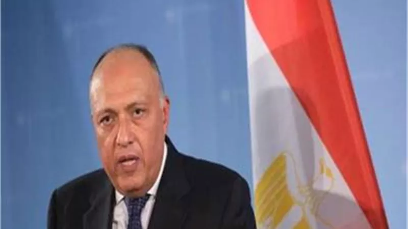 جولة من المفاوضات حول سد النهضة.. وزير الخارجية يتوجه إلى كينشاسا
