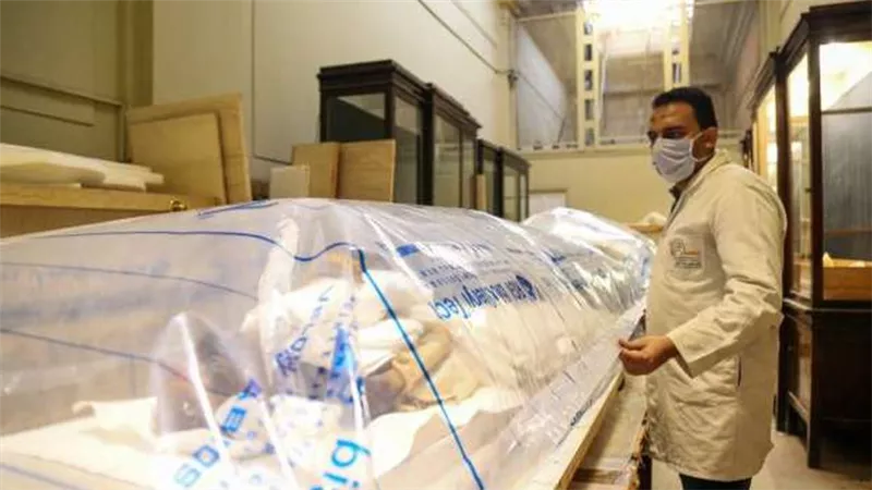 تعرف على سر الغرفة «55» في موكب المومياوات وابتكار النقل بـ«كبسولة النيتروجين»