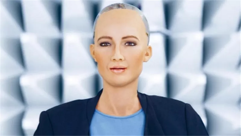 بيع لوحة رقمية للروبوت 