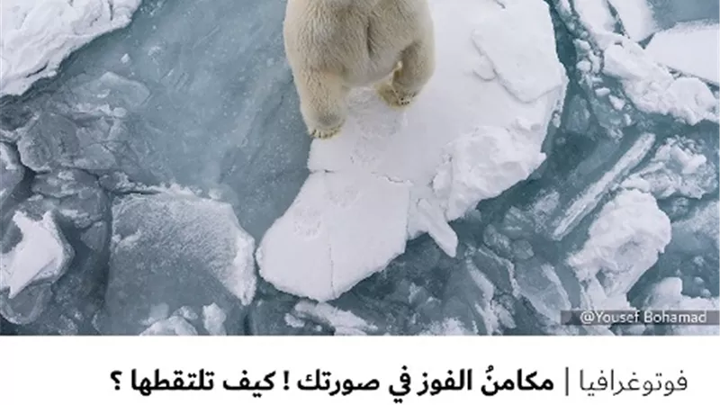 مكامنُ الفوز في صورتك ! كيف تلتقطها ؟