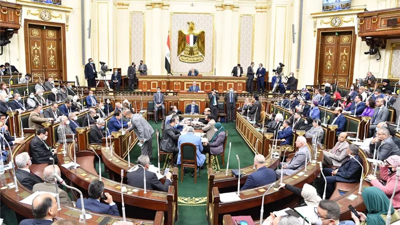 عبد المنعم سعيد : مصر قادرة على النهوض رغم أية أزمات قد تمر بها