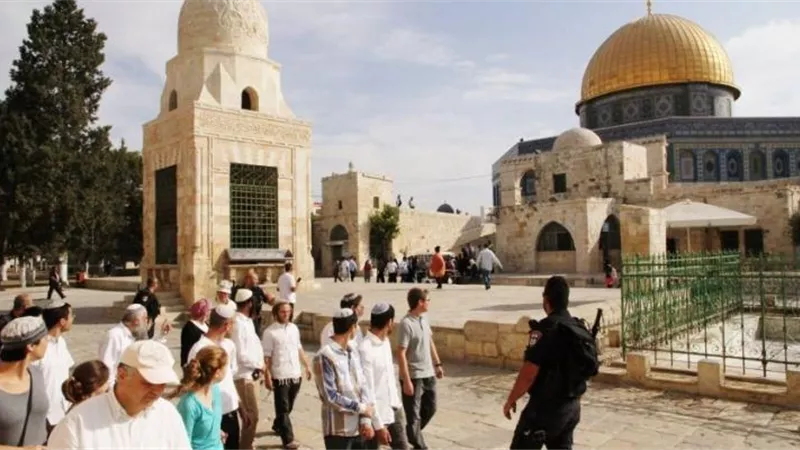 81 مستوطناً إسرائيلياً يقتحمون باحات المسجد الأقصى