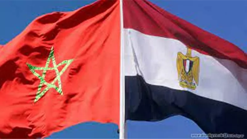 المغربية المصرية للصداقة: أطلقنا منصة إلكترونية كنواة للسوق العربية المشتركة