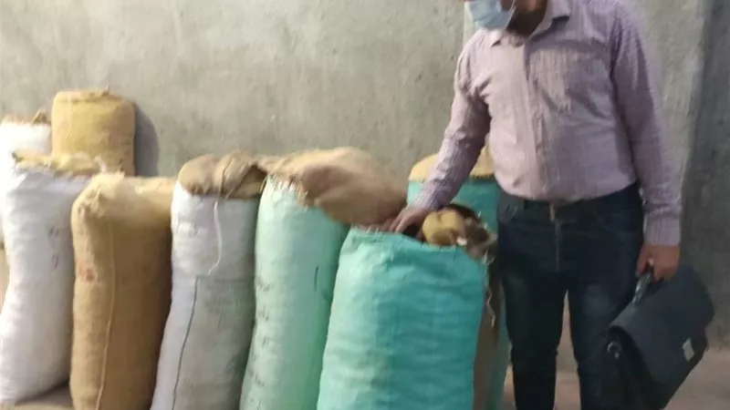 ضبط أغذية غير صالحة للاستهلاك الآدمي في الدقهلية